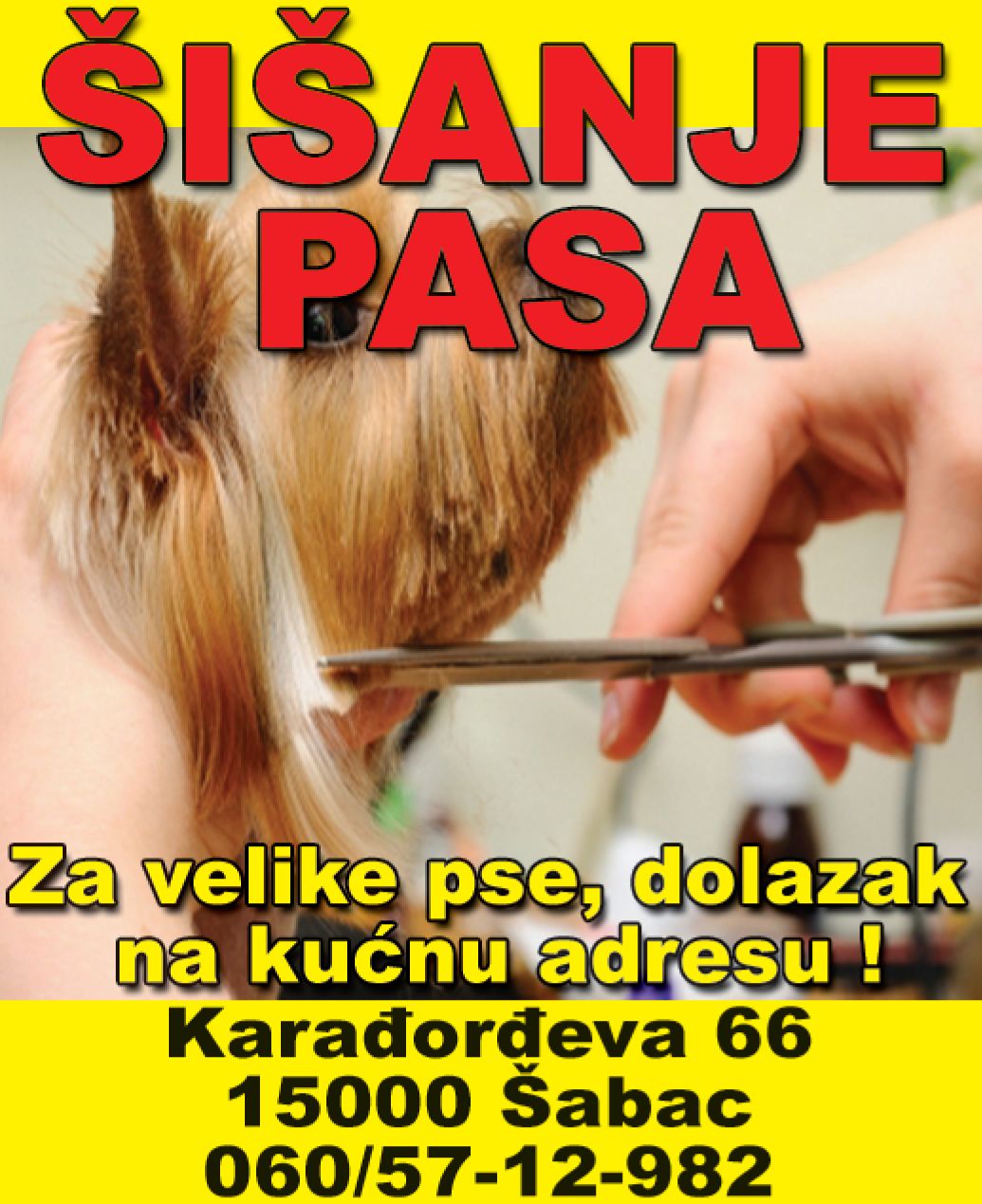 Šišanje pasa